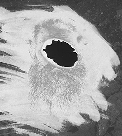 X-RAY AND BLUE T Piano Mating [VINYL]